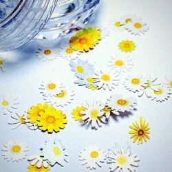 3D Flower Cuts ~ Daisys